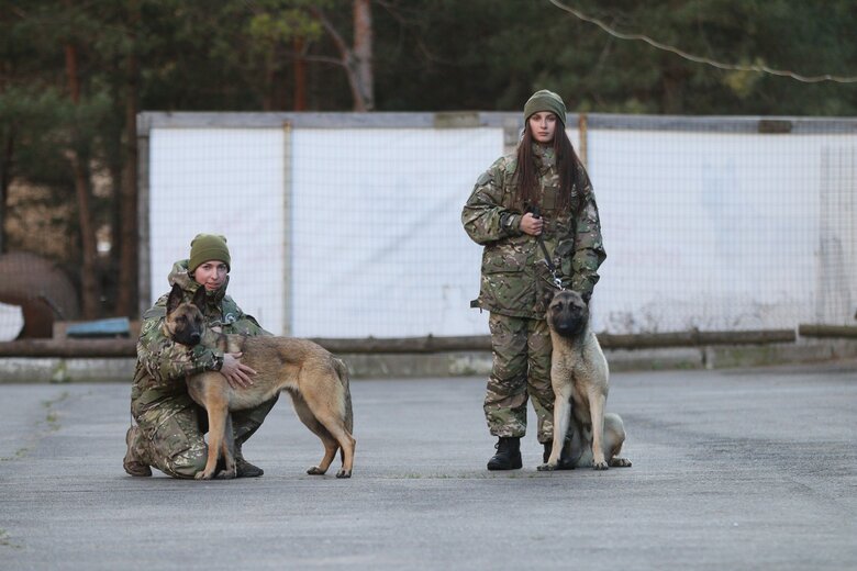 Нідерланди передали Україні 11 собак-саперів 01