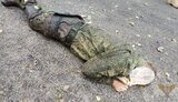 рф,армія,окупанти,рашисти