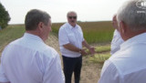 сталин лукашенко
