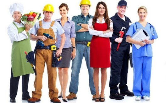 Від віварника до реолога: Держслужба зайнятості назвала самі незвичні професії в Україні