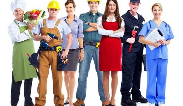 Від віварника до реолога: Держслужба зайнятості назвала найнезвичніші професії в Україні