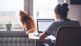 работа,удаленка
