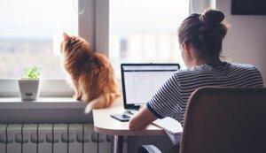 работа,удаленка