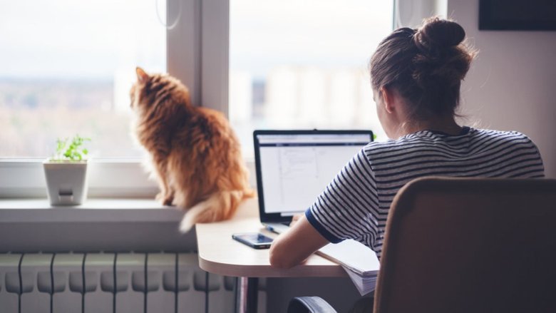 работа,удаленка