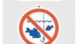 З 1 квітня в Україні вводиться заборона на вилов риби і раків. Штраф - до 3400 грн або обмеження волі на строк до трьох років