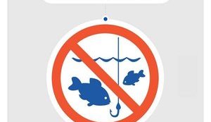 З 1 квітня в Україні вводиться заборона на вилов риби і раків. Штраф - до 3400 грн або обмеження волі на строк до трьох років