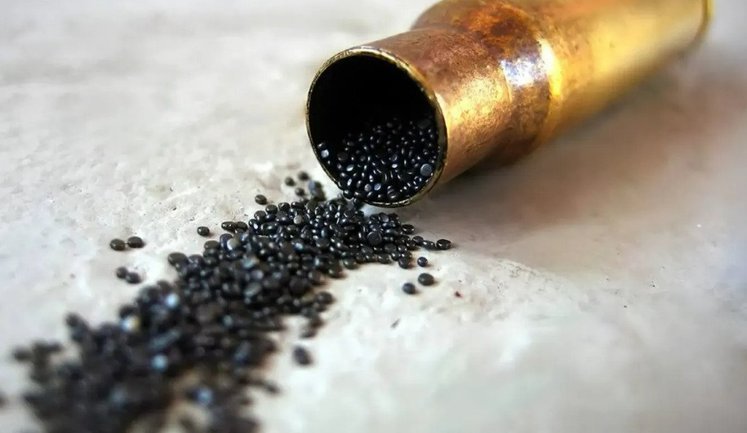 Виробники зброї зможуть орендувати державні приміщення за спрощеною процедурою