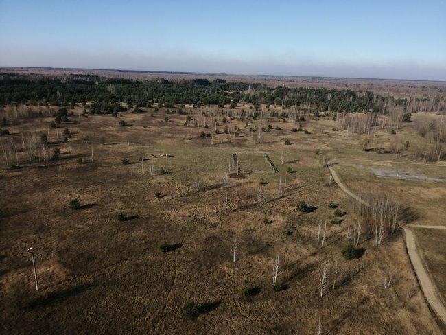 В Зоне отчуждения ЧАЭС и на Житомирщине продолжают тушить пожары 05 В Зоне отчуждения ЧАЭС и на Житомирщине продолжают тушить пожары 05
