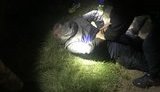 Начальника відділу митного оформлення поста "Солотвино" на Закарпатті затримано за систематичне хабарництво, - СБУ. ФОТО