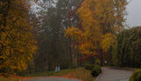 The lands of Hryshko Botanical Garden are to be transferred for construction