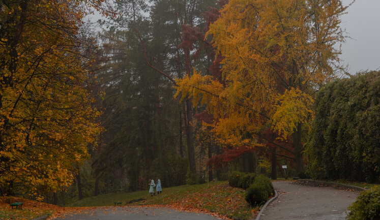 Land of capital’s Hryshko Botanical Garden was transferred for residential development despite ban