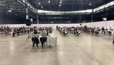 Прокурори почали проходити переатестацію, вже є перші позитивні результати, - Чумак. ФОТО (оновлено)
