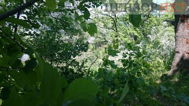 мост навигатор ерофеев