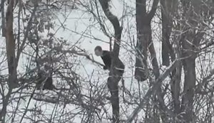 Рашист "спалив" бліндаж окупантів, після чого його почали "розбирати" FPV-дрони 58 ОМПБр. ВIДЕО