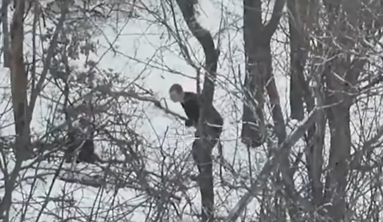 Рашист "спалив" бліндаж окупантів, після чого його почали "розбирати" FPV-дрони 58 ОМПБр. ВIДЕО