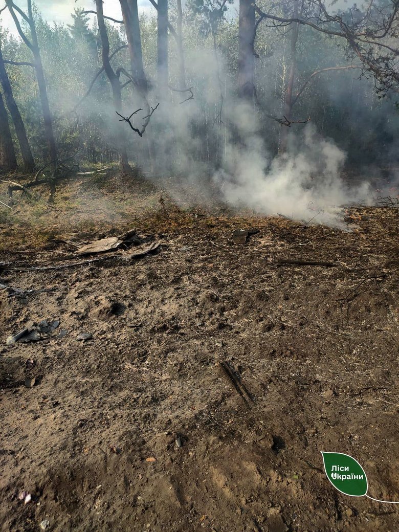 Forest fires in Ukraine – 87 per cent of the area burnt this week was caused by Russian attacks
