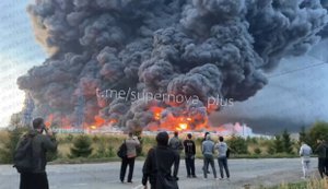 Russians are watching and filming fire at Wildberries warehouse in Moscow Region. VIDEO