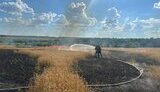 Ворог завдав удару по пшеничному лану