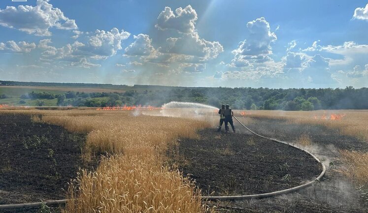 Wheat field burns in Kharkiv region as result of Russian strike. PHOTOS