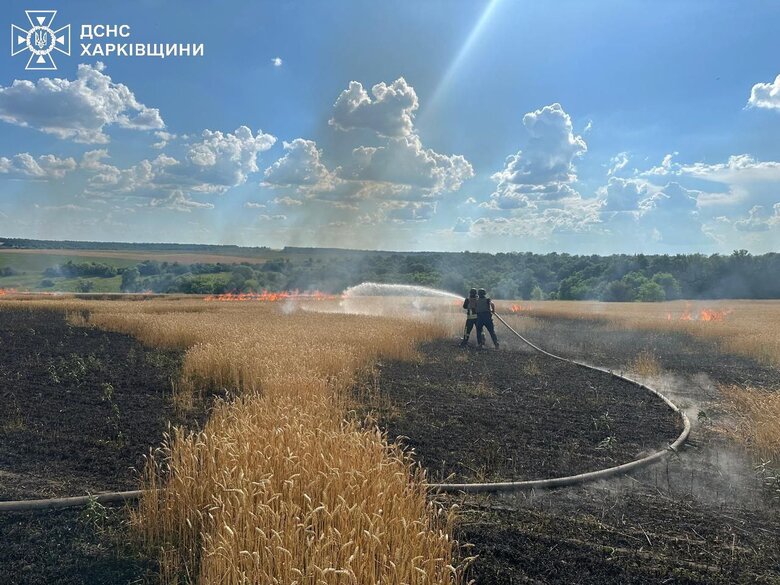 Наслідки удару РФ по полю