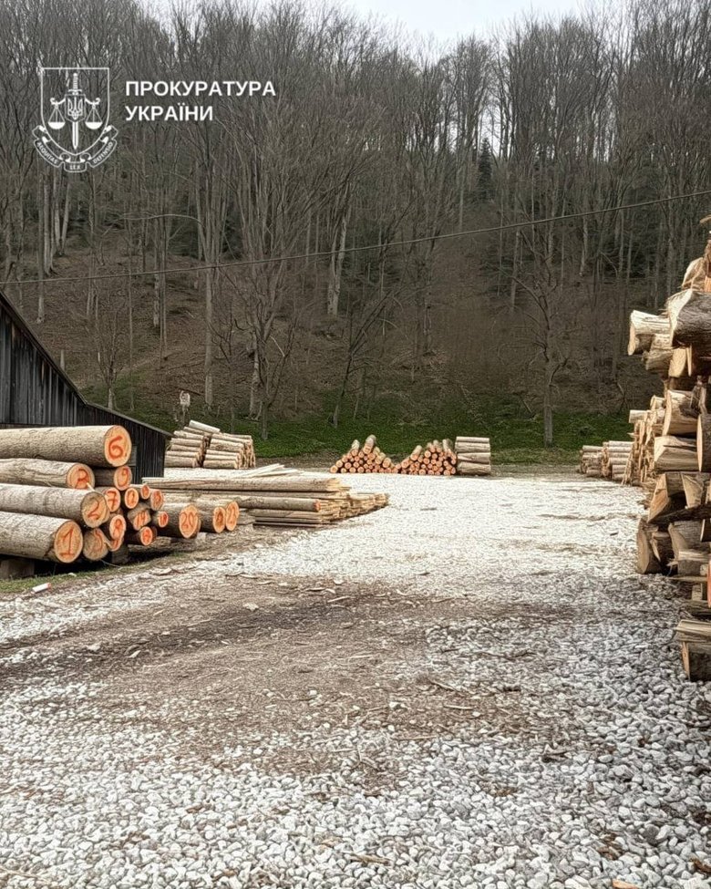 На Буковині викрили "тіньовий" експорт лісу до Молдови
