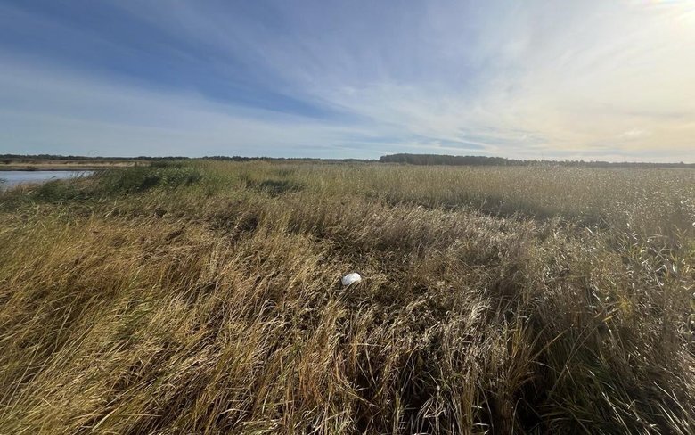 drone in Estonia