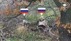 На Сіверському напрямку FPV-дрони знищили двох російських снайперів. ВIДЕО