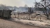 "Усе згоріло: хата, гроші, одяг - поки ми тушили пожежу дві ночі". Жителям Житомирщини, які постраждали від пожеж, потрібна допомога. ВIДЕО