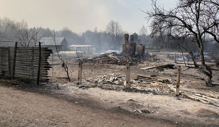 "Усе згоріло. Хата, гроші, одяг, поки ми тушили пожежу дві ночі": жителям Житомирщины, пострадавшим от пожаров, нужна помощь. ВИДЕО