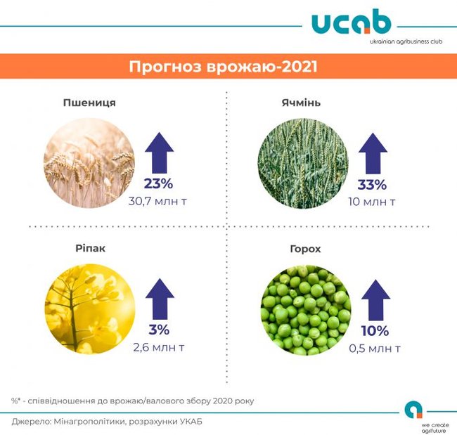 Украина может собрать рекордный урожай пшеницы, – УКАБ 01