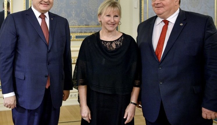 Ukraine president, Swedish and Lithuanian foreign ministers discussed Donbas situation. PHOTO