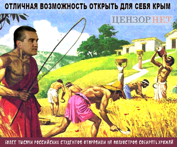 Отдых для рабов