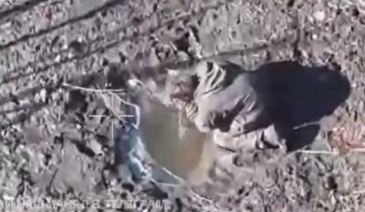 Уцілілий окупант стоїть навколішки перед калюжею, пригоршнями черпає воду і п’є. ВIДЕО