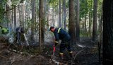Пожежі у Чорнобильській зоні
