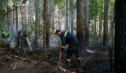 Пожежі у Чорнобильській зоні