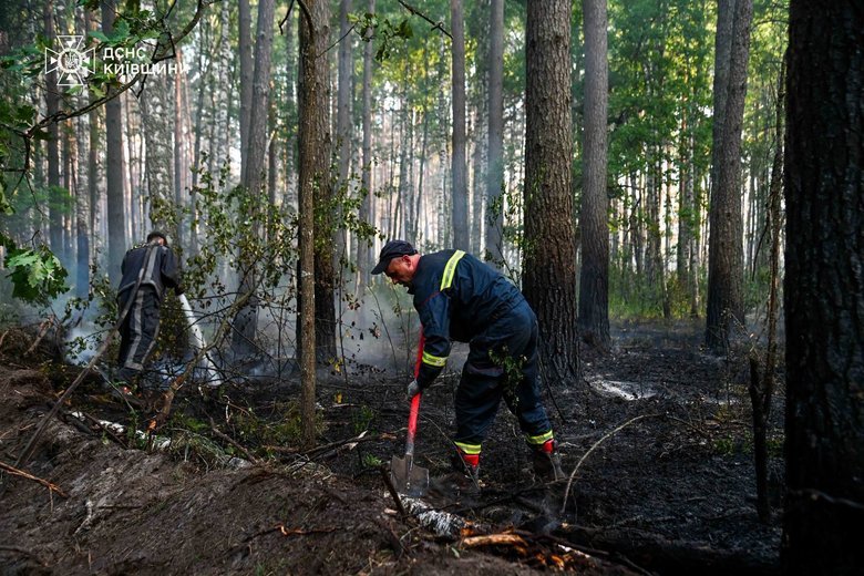 Пожежі у Чорнобильській зоні