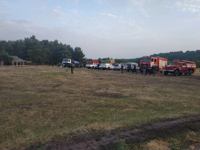 На Луганщині горить 85 га лісу, - ДСНС 02