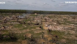 Подробиці операції в Кринках