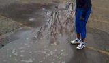 Мой друг даст вам доллар, если...: "Мы все думали, что это лужа, клянусь Богом!". ВИДЕО