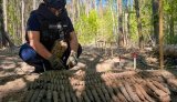 В Черниговской области саперы изъяли 210 артиллерийских снарядов