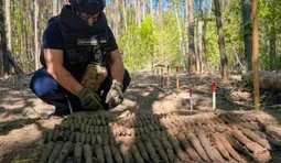 На Чернігівщині сапери вилучили 210 артилерійських снарядів