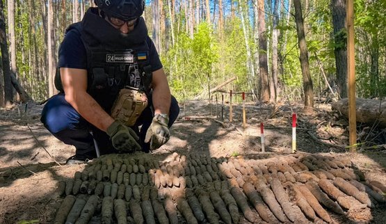 На Чернігівщині сапери вилучили 210 артилерійських снарядів