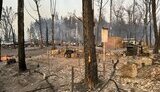 На Харківщині вигоріло ціле селище, загинули 4 особи