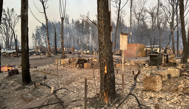 На Харківщині внаслідок лісової пожежі вигоріло ціле селище