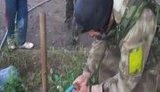 карачун