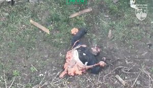 Російського зайду у Гришиному розірвало навпіл після атаки українського дрона-камікадзе. ВIДЕО 18+