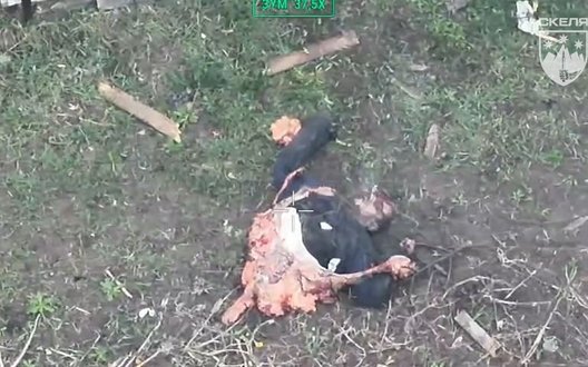 Російського зайду у Гришиному розірвало навпіл після атаки українського дрона-камікадзе. ВIДЕО 18+