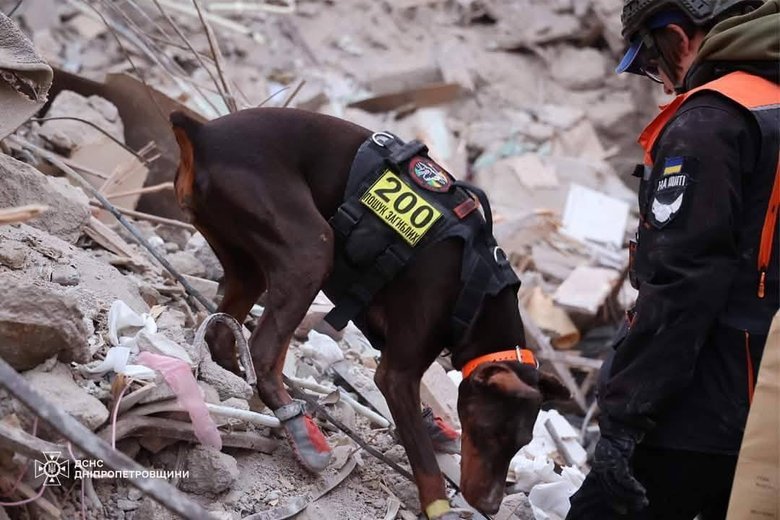 Пішла з життя собака-рятувальниця Ханна, яка врятувала понад 170 людей