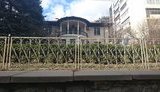 Минкульт защищает дома сталинских палачей, - председатель фракции "Свобода" в Киевсовете Сиротюк
