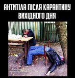 Антитела
